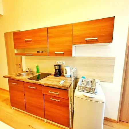 בודפשט Central Studio Flat מראה חיצוני תמונה