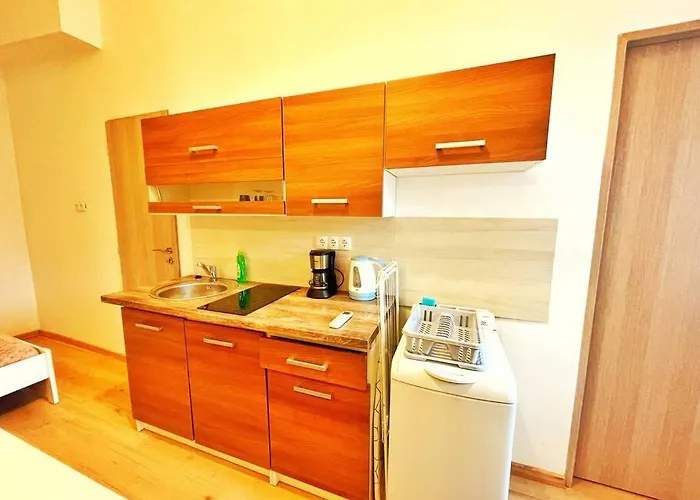 Central Studio Flat