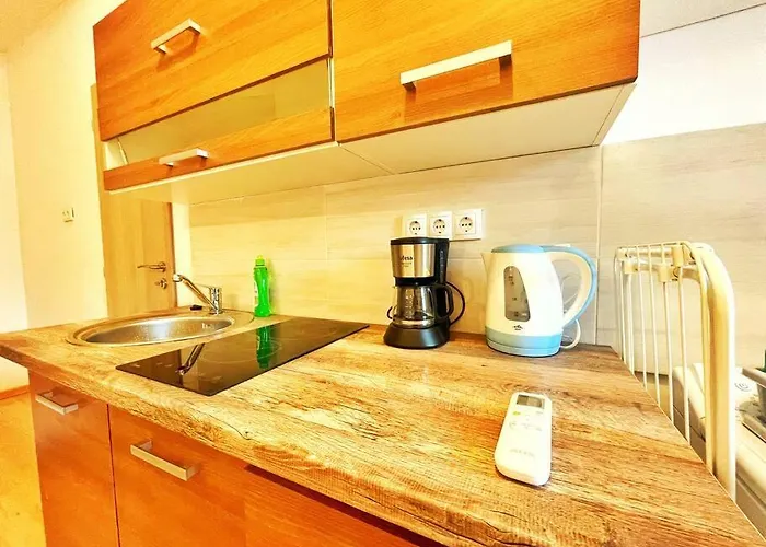 Central Studio Flat